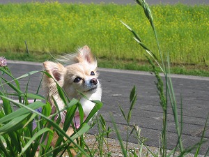 070502-1.jpg