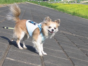 070502-2.jpg