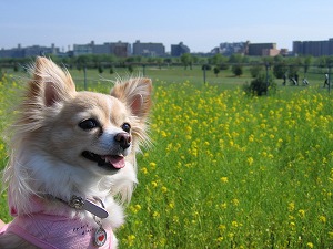 070502-3.jpg