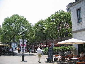 070519-3.jpg
