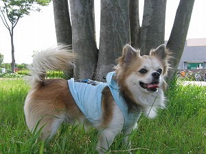 070603-2.jpg