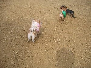 070603-3.jpg