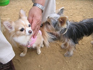 070603-4.jpg