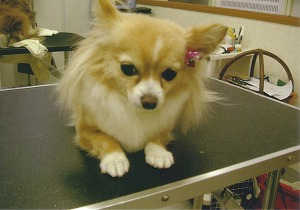 070603-5.jpg
