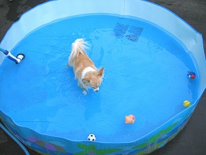 070721-1.jpg
