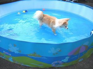 070721-2.jpg