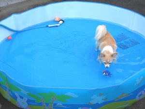 070721-4.jpg