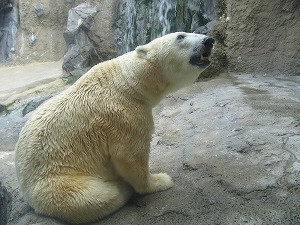 070826-1.jpg