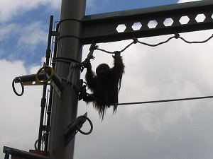 070826-2.jpg