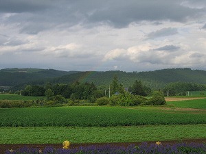 070826-3.jpg