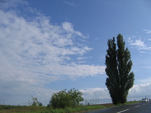 070826-4.jpg