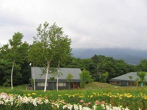 070826-8.jpg
